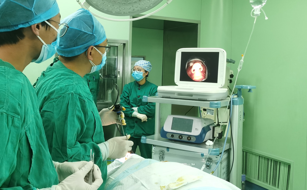 什么是鼻內窺鏡?鼻內窺鏡有哪些優點? 什么是鼻內窺鏡?鼻內窺鏡有哪些優點?