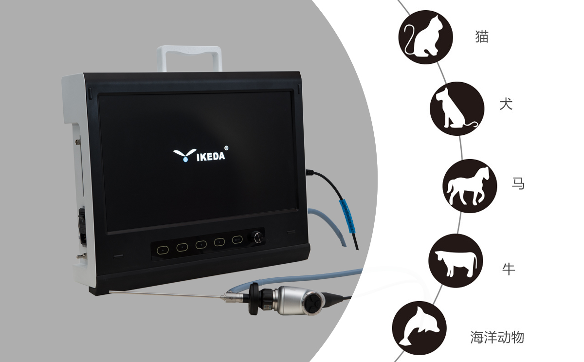 獸用內窺鏡可以做什么? 獸用內窺鏡可以做什么?