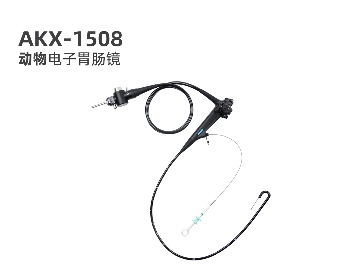 新產品:動物電子胃腸鏡 AKX-1508 新產品:動物電子胃腸鏡 AKX-1508