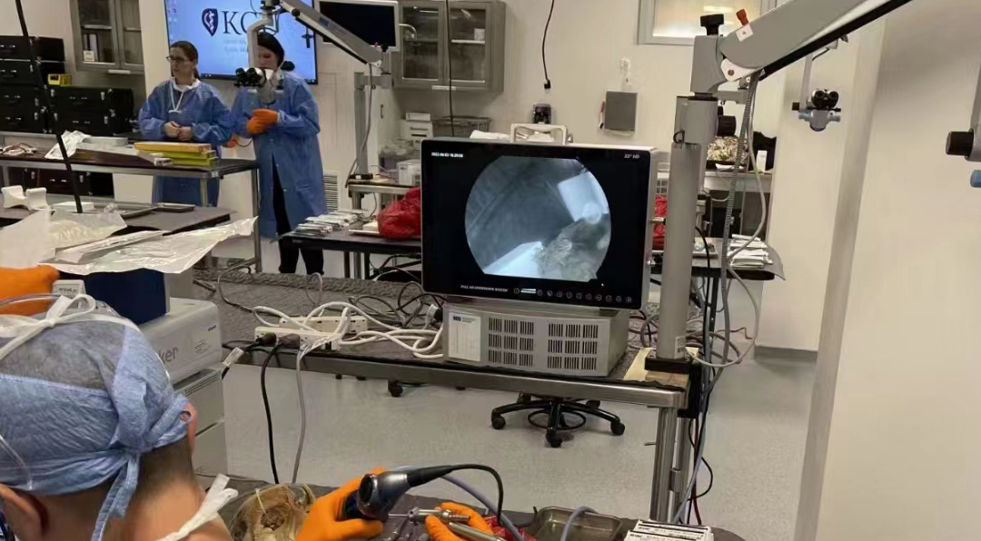 獸用關(guān)節(jié)鏡的基本配置有哪些? 獸用關(guān)節(jié)鏡的基本配置有哪些?