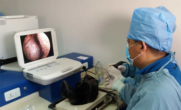 為什么越來越多的醫生選擇便攜式內窺鏡？