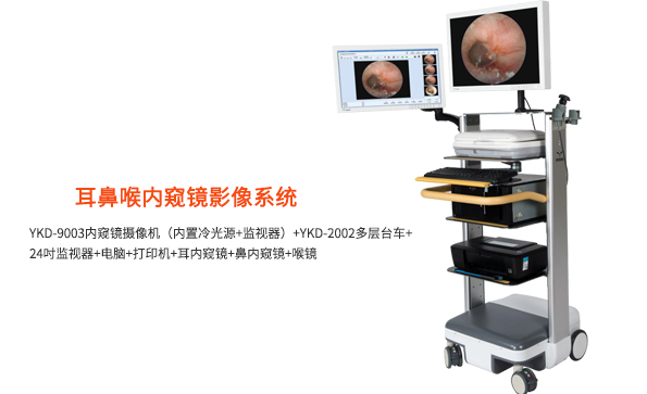 耳鼻喉內窺鏡影像系統(tǒng)的組成